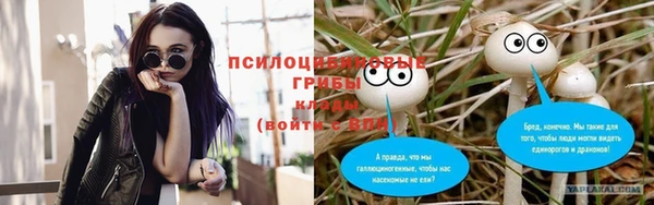 СК Новокубанск