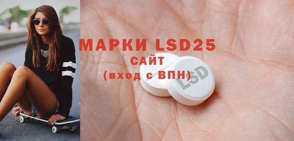 мдпв Новозыбков