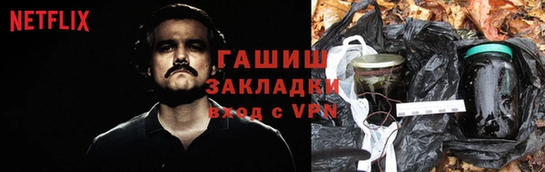 мдпв Новозыбков