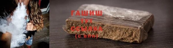 мдпв Новозыбков