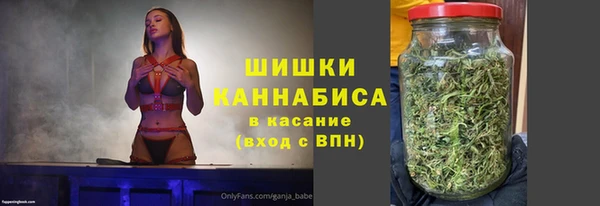 мдпв Новозыбков