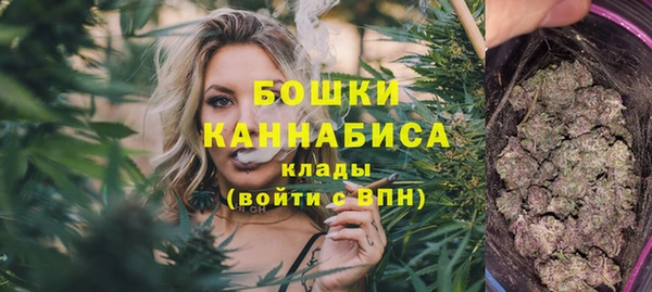 мдпв Новозыбков