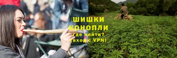 мдпв Новозыбков