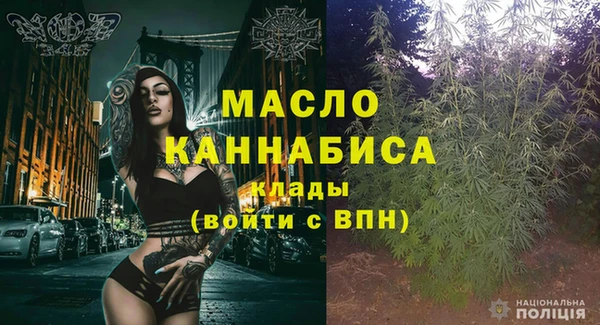 мдпв Новозыбков
