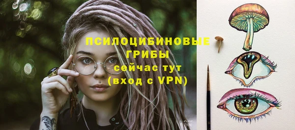 героин Новодвинск