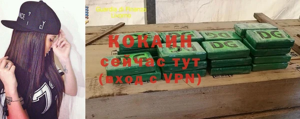 мдпв Новозыбков